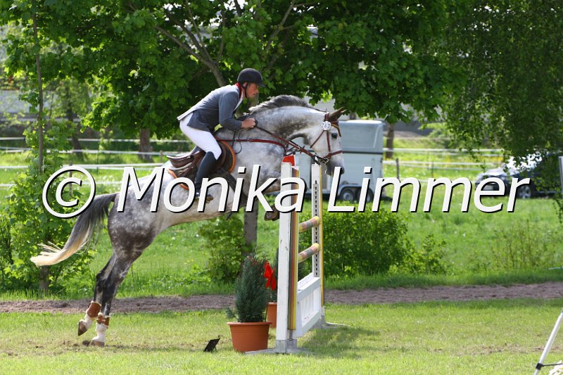 005M7023_Snasnu_M Springen x.JPG